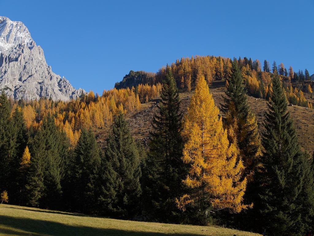 Hotel Am Sonnenhuegel Filzmoos Exteriör bild
